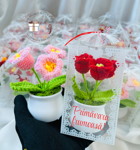 Ghiveci cu flori tricotate în cutie personalizată și ață de mărțișor