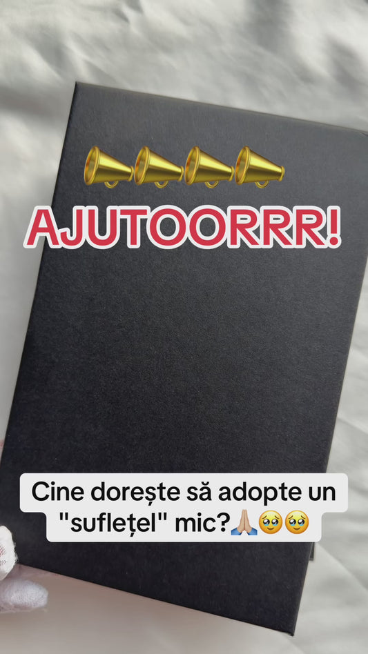 Cutie cu jucărie Anti-Stres🔞 (video real după poza principală)