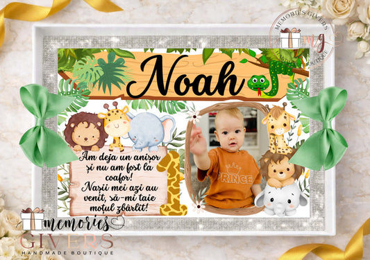 Tăviță moț - BĂIAT